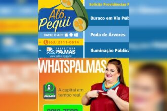 Coluna ‘Sou IA’ | Alô Pequi, com Amastha. Whats Palmas, com Cinthia. E com Dudu, a tecnologia vai voltar a facilitar a vida do cidadão?