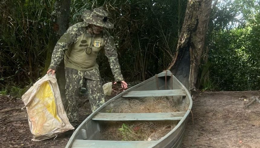 Naturatins apreende 3.120 metros de redes de pesca e resgata sucuri em operação ambiental no Tocantins