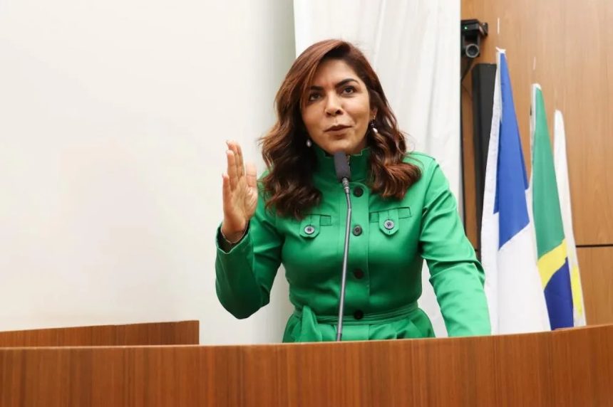 Vereadora Delma Freitas solicita revitalização do entorno do CMEI Pequenos Brilhantes