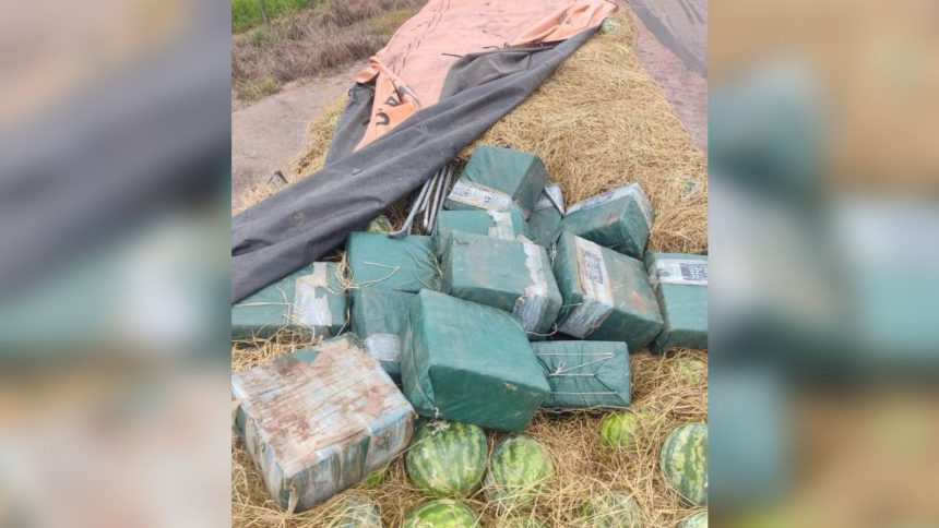 Maior apreensão de cocaína dos últimos 15 anos no Tocantins resulta na prisão de cinco suspeitos em operação da PF