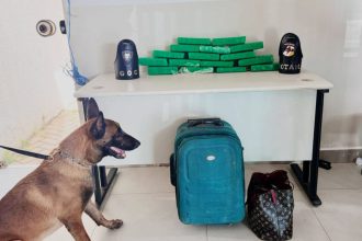 Casal é preso com 10 kg de maconha durante patrulhamento da PM em Palmas