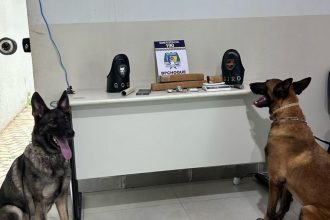 Polícia Militar prende homem por tráfico de drogas em Palmas; mais de dois quilos de maconha foram apreendidos