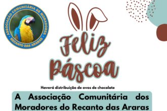 Associação do Recanto das Araras promove festa de Páscoa para crianças na região sul de Palmas