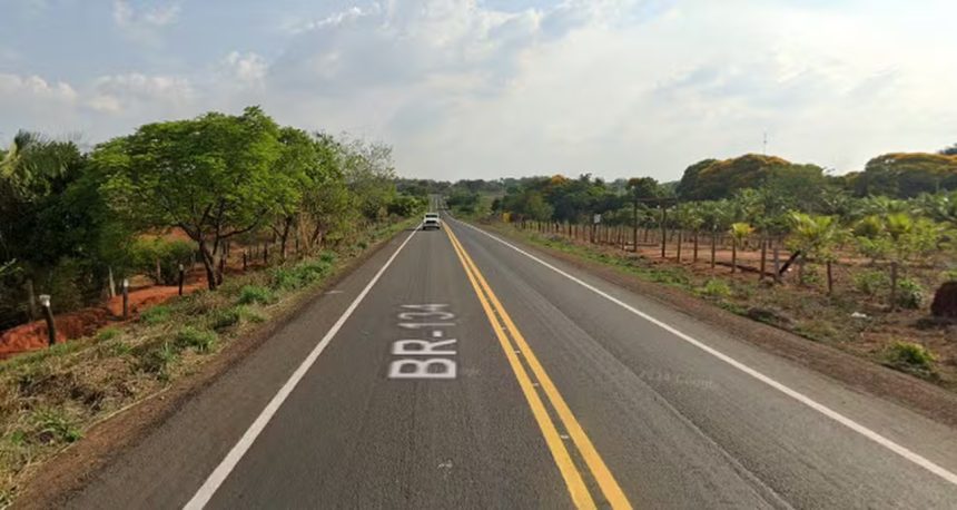 Motorista atropela dois cavalos na TO-134 e foge do local em carona com caminhoneiro em São Bento do Tocantins
