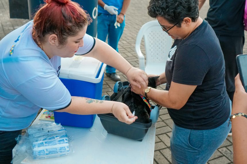 Araguaína avança com vacinação antirrábica e leva atendimento domiciliar e pontos fixos a mais cinco bairros no feriado