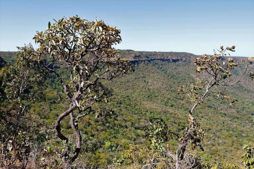 Tocantins reduz focos de queimadas em quase 50% no primeiro trimestre, mas área atingida cresce mais de 130%