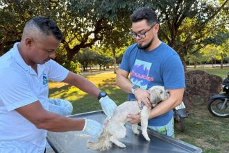 Setor Santa Fé II e Taquaruçu recebem vacinação antirrábica para cães e gatos nesta sexta e domingo