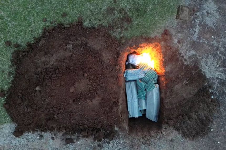 Suspeita de gripe aviária no Tocantins é investigada pelo governo federal; amostras já foram coletadas