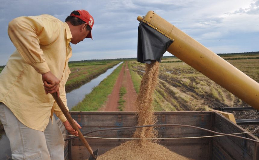 Produção agrícola do Tocantins cresce mais que o dobro da média nacional; estado mira nova safra recorde