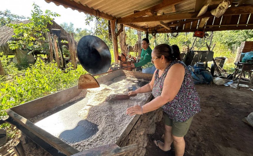 Com apoio do Naturatins, mulheres extrativistas transformam coco babaçu em renda e resistência no interior do Tocantins
