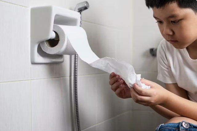 Por que no Brasil o papel higiênico vai no lixo e não no vaso, diferente de outros países?