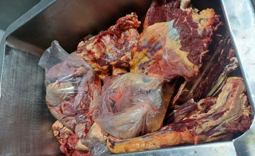 Vigilância Sanitária apreende mais de meia tonelada de carne clandestina e 27 mil ovos impróprios em Palmas
