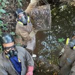 Com foco em prevenção da raiva, Tocantins intensifica controle de morcegos hematófagos