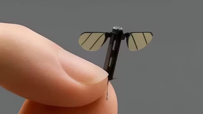 Drones invisíveis à vista? China lança miniespião voador em formato de mosquito para uso militar