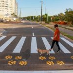 Prefeitura de Palmas lança projeto PataDestre com faixas sinalizadas para pets em áreas públicas; veja como vai funcionar
