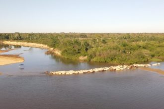 No Dia do Meio Ambiente, MPTO destaca avanços tecnológicos, combate a desmatamento e atuação resolutiva na proteção dos ecossistemas