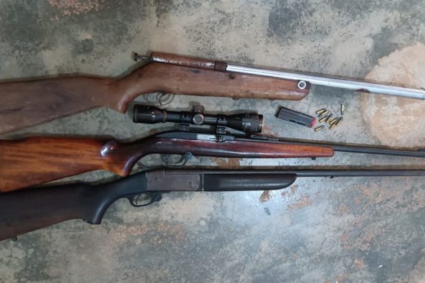 Polícia Civil apreende armas e munições durante operação contra comércio ilegal em Darcinópolis