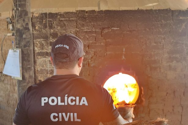 Polícia Civil incinera 7 kg de drogas no sudeste do TO e reforça combate ao tráfico na divisa com a Bahia