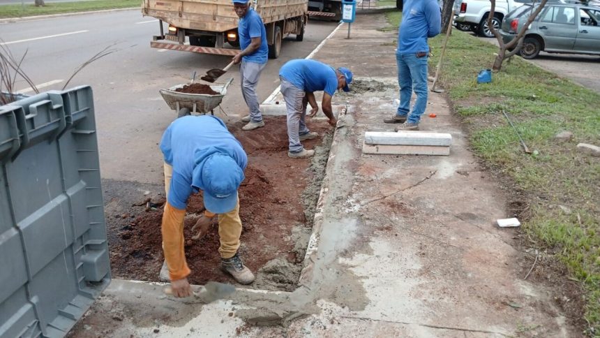 Prefeitura de Palmas instala 174 contêineres em recuos estratégicos e prevê mais de 300 até julho; veja detalhes