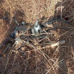 Brigadistas encontram motocicleta roubada durante combate a incêndio em área urbana de Palmas