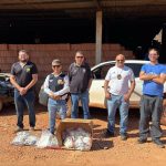 Polícia Civil do Tocantins participa da Operação Narke IV com ações integradas contra o tráfico de drogas