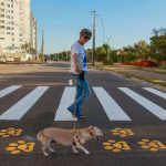 Prefeitura de Palmas reforça cuidados com pets durante o calor e orienta tutores sobre riscos e prevenção