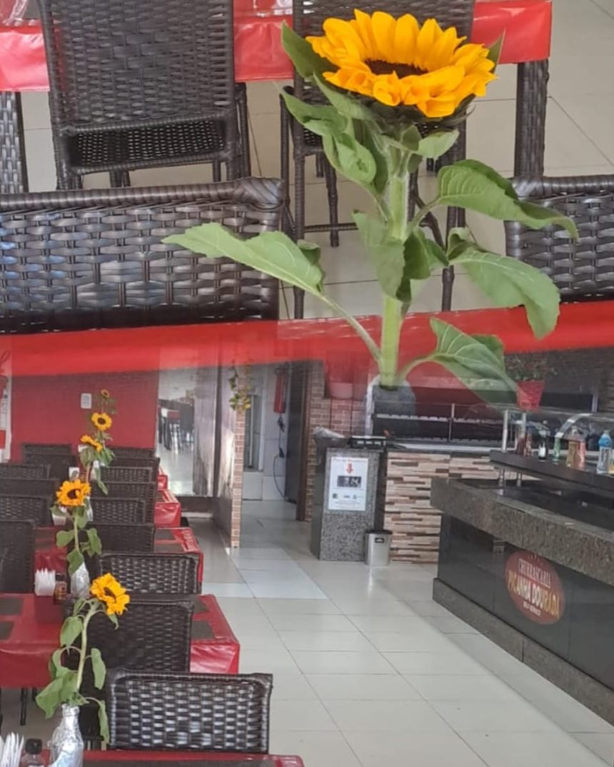VIRALIZOU! Churrascaria em Palmas homenageia Eduardo Siqueira com girassóis em todas as mesas após retorno à Prefeitura