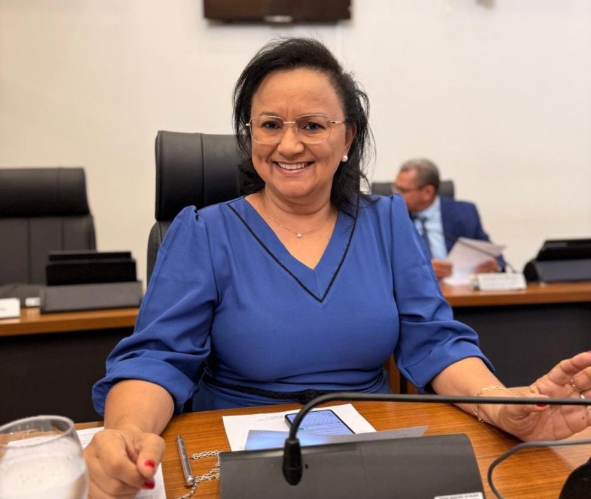 Vereadora Professora Iolanda Castro solicita implantação de Bibliotecas Comunitárias na Região Norte de Palmas