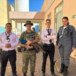 Cliente inusitado: pavão dá voltinha no Capim Dourado em Palmas e é levado para criadouro