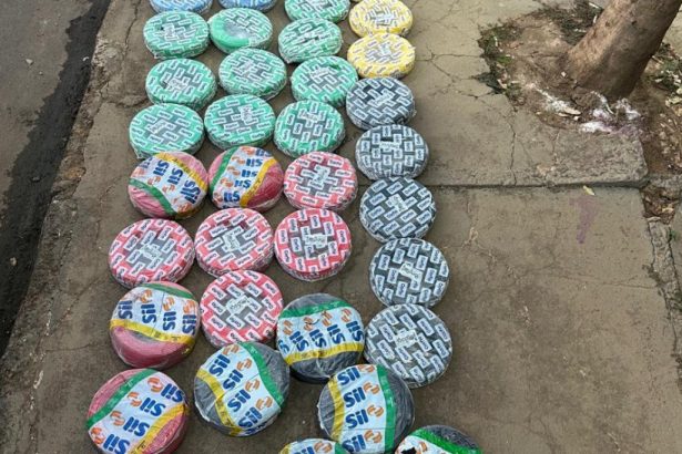Polícia Civil recupera R$ 27 mil em fios de cobre furtados de lojas de Palmas e prende receptador em flagrante