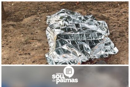 AGORA: Homem é morto a facadas após discussão no setor Santa Bárbara, na região sul de Palmas; vítima foi identificada