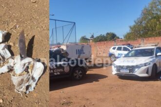 TRÁGICO: Homem é encontrado degolado e com marca de tiro em quadra poliesportiva do Aureny III, na região sul de Palmas 11 TRÁGICO: Homem é encontrado degolado e com marca de tiro em quadra poliesportiva do Aureny III, na região sul de Palmas
