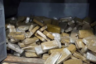 Caminhão com 239 quilos de pasta base de cocaína é apreendido na TO-373; motorista foge pela mata