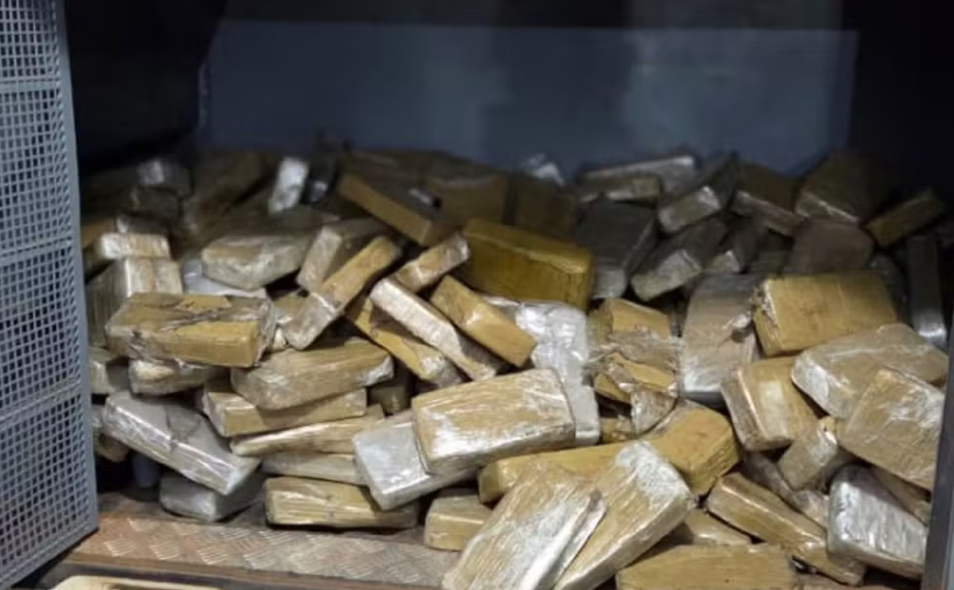 Caminhão com 239 quilos de pasta base de cocaína é apreendido na TO-373; motorista foge pela mata
