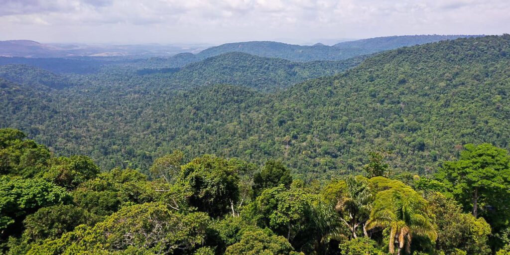 PF desarticula quadrilha que extraía ouro de terra indígena no Pará