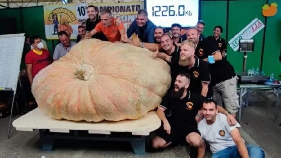 Abóbora de 1,2 tonelada colhida na Itália bate recorde de mais pesada do mundo