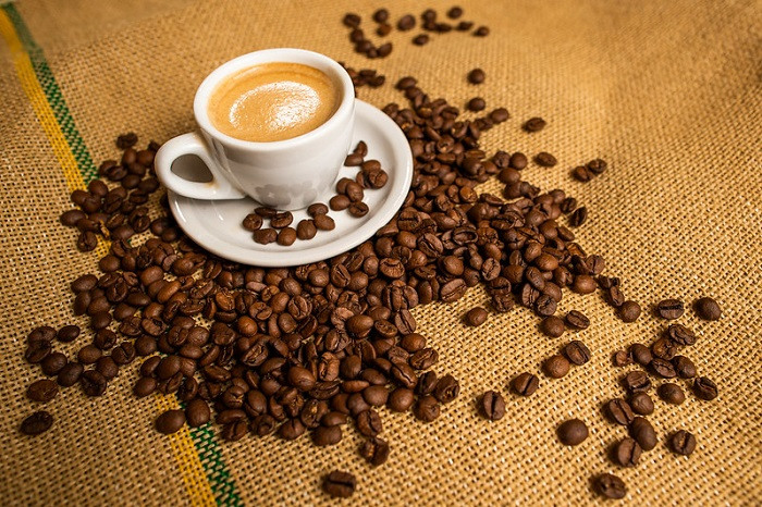 CNA e CaféPoint lançam Pesquisa Safra Cafeeira 2021