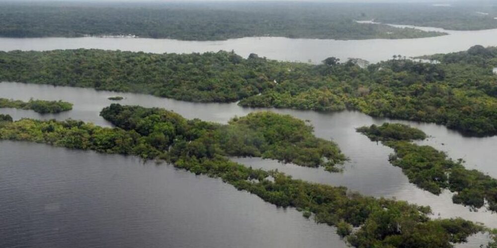 BNDES e Incra vão implantar projeto sobre assentamentos na Amazônia