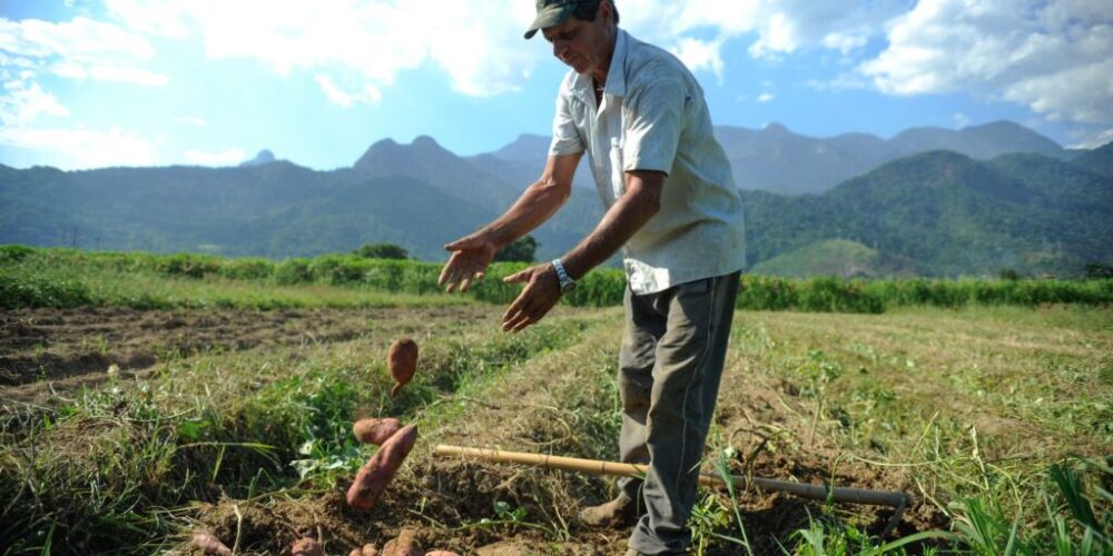 Projetos de agricultura sustentável vão receber US$ 1,2 bi do BID