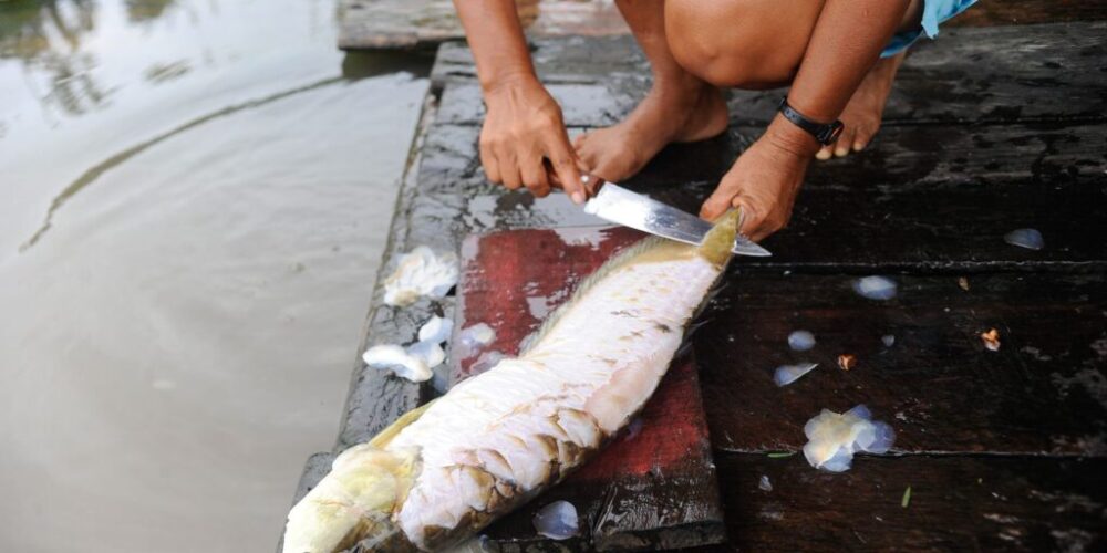 Programa assistencial de Furnas cadastra pescadores em Minas Gerais